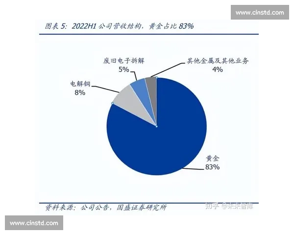聚焦全球足球排名变化与强队实力格局解析趋势及未来走向观察