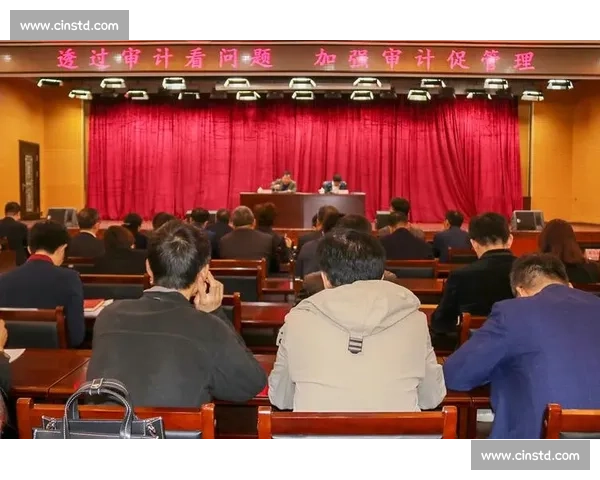 以审计监督为核心加强政府财务管理提高透明度和责任制的路径研究